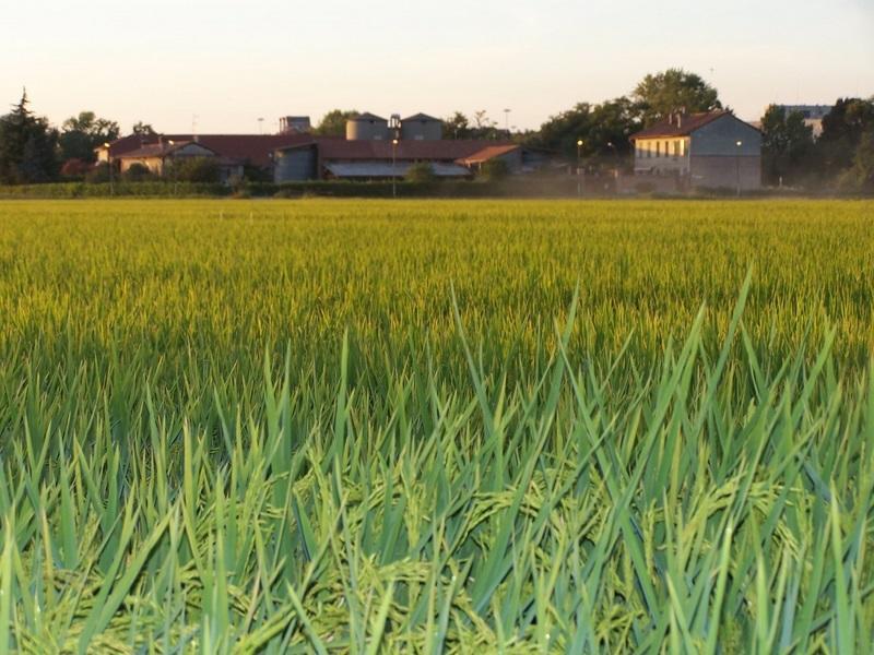 Bauernhof Cascina Battivacco